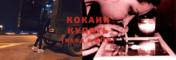 дживик Краснослободск