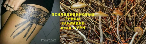 индика Армянск