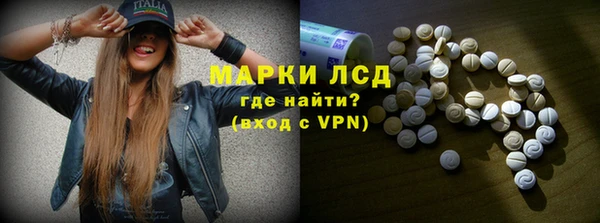эйфоретик Аркадак