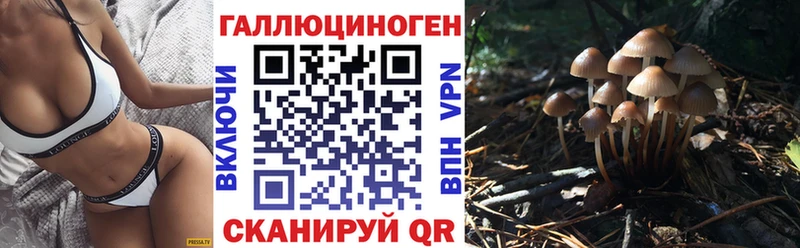 Псилоцибиновые грибы GOLDEN TEACHER  Белоозёрский 